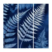 Blue Fern Cyanotype Triptych