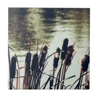 Cattails, Pond Plants Tile