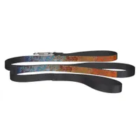 Rusty, Verdigris, Grunge Steampunk Personalized Pet Leash