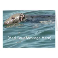 Add your Message Here Cute Seal Card