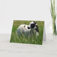 Jacob Ram Lamb Card