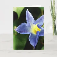 Blue Morning Glory Flower Card