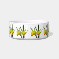 Bowl - Daffodil