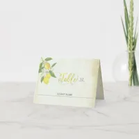 Individual Watercolor Lemon Theme Place Cards