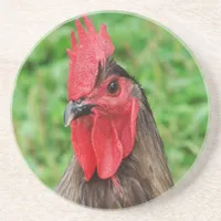 Blue Rooster Drink Coaster