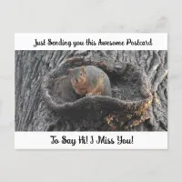 Cute Squirrel "I Miss YOU" Saying Hi Post Card