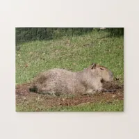 Sunbathing Capybara Jigsaw Puzzle