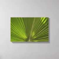 Green Tropical Palm Frond Canvas Print