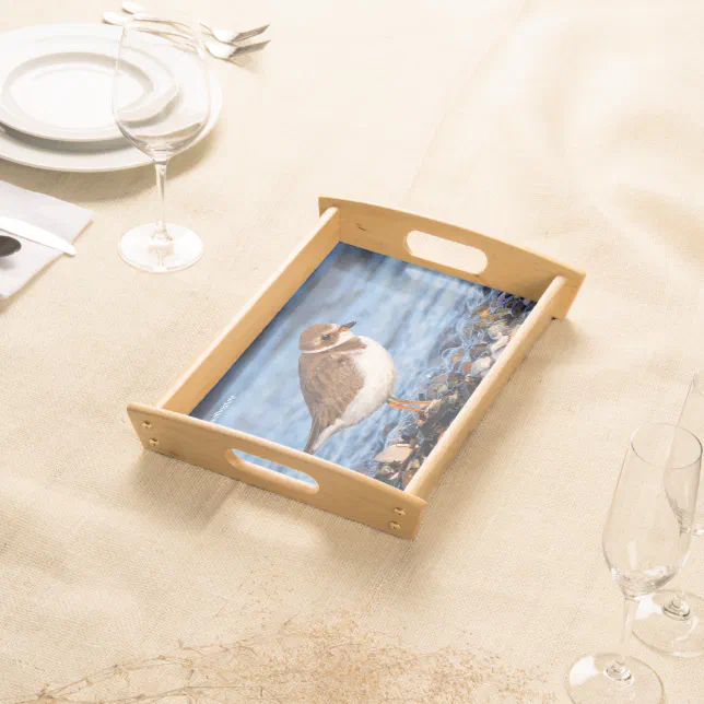 Beautiful Semipalmated Plover at the Beach Serving Tray