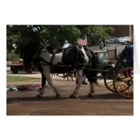 Pinto Draft Horse