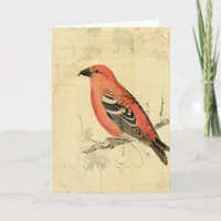 Vintage Pink Bird Card