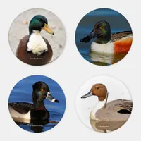 A Stunning Quartet of Colorful Ducks (II) Coaster Set