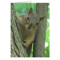 I Miss you Squirrel Photo Card