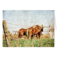 Ready For Work, Two Draft Horses Cards