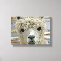 Adorable Canvas Print