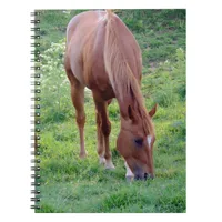 Sorrel Gelding Notebook