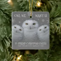 Owl We Want Spread Christmas Cheer Snowy Owls Ceramic Ornament