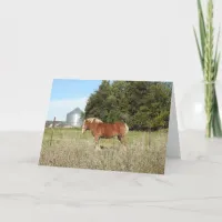 Happy Birthday | Pretty Brown Horse Card