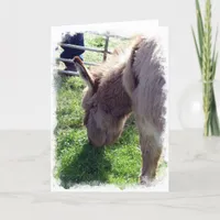 Donkey Card