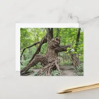 A Troll in the Forest  Postcard