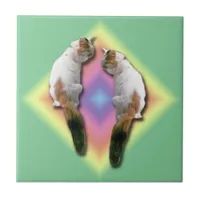 Tile - Rainbow diamond with cats