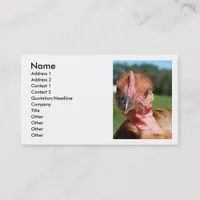 Turkin Pullet Business Card