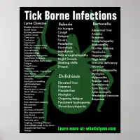 Tick Borne Infections Symptoms Educational Poster