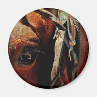 Amish Horse Eye Magnet