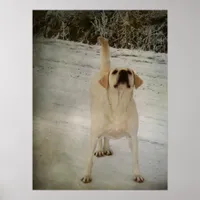 Winter Lab Poster