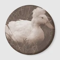 Crestie the Crested Duck Magnet
