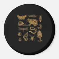 Frog Mushroom Moth Vintage Lover Goblincore Aesthe Magnet