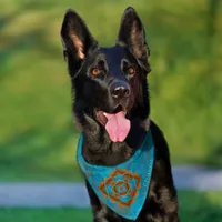 Southwest Geometric Mountain Peaks Personalized Pet Bandana Collar