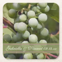 Green Grapes Vineyard Wedding Square Paper Coaster