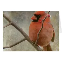 Cardinal Grunge