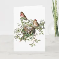 Vintage Birds, German Birthday Card