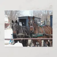 At the Hitching Post Postcard