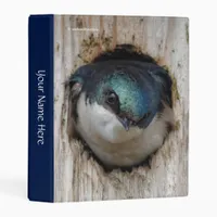 Tree Swallow Songbird in Nestbox Mini Binder