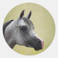 Arabian Horse Grunge Classic Round Sticker