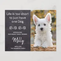 Budget New Pet New Puppy Announcement