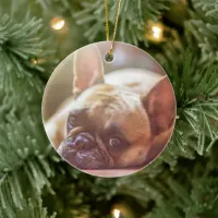 Personalize this Ornament with you Pet's Picture