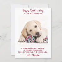 Funny Dog Mom Personalized Pet Photo Mothers Day  Holiday Card