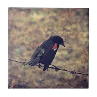 Red Winged Blackbird Tile