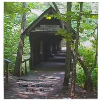 Cambron Covered Bridge, Madison County, Alabama Napkin