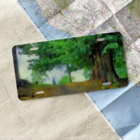 Beautiful forest landscape for nature lovers license plate