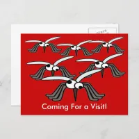 Funny Mosquitoes Flying Coming For a Visit Postcard