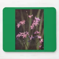 Wildflowers: Ragged Robin Mouse Pad