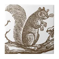 Vintage Squirrel Ceramic Tile