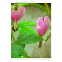 Bleeding Hearts With Texture