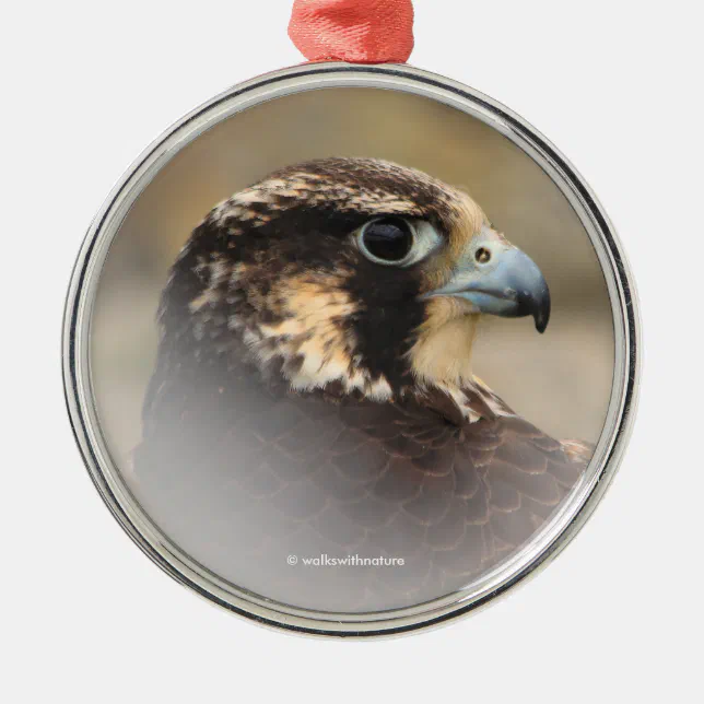 Vignetted Profile of a Peregrine Falcon Metal Ornament