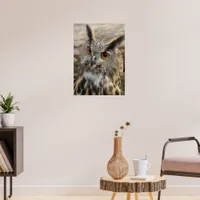 Cute eagle owl - wildlife photography poster